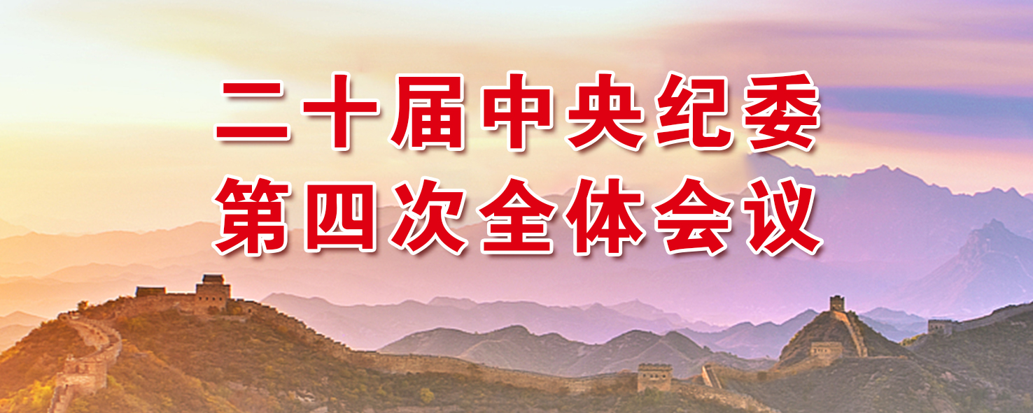 未找到